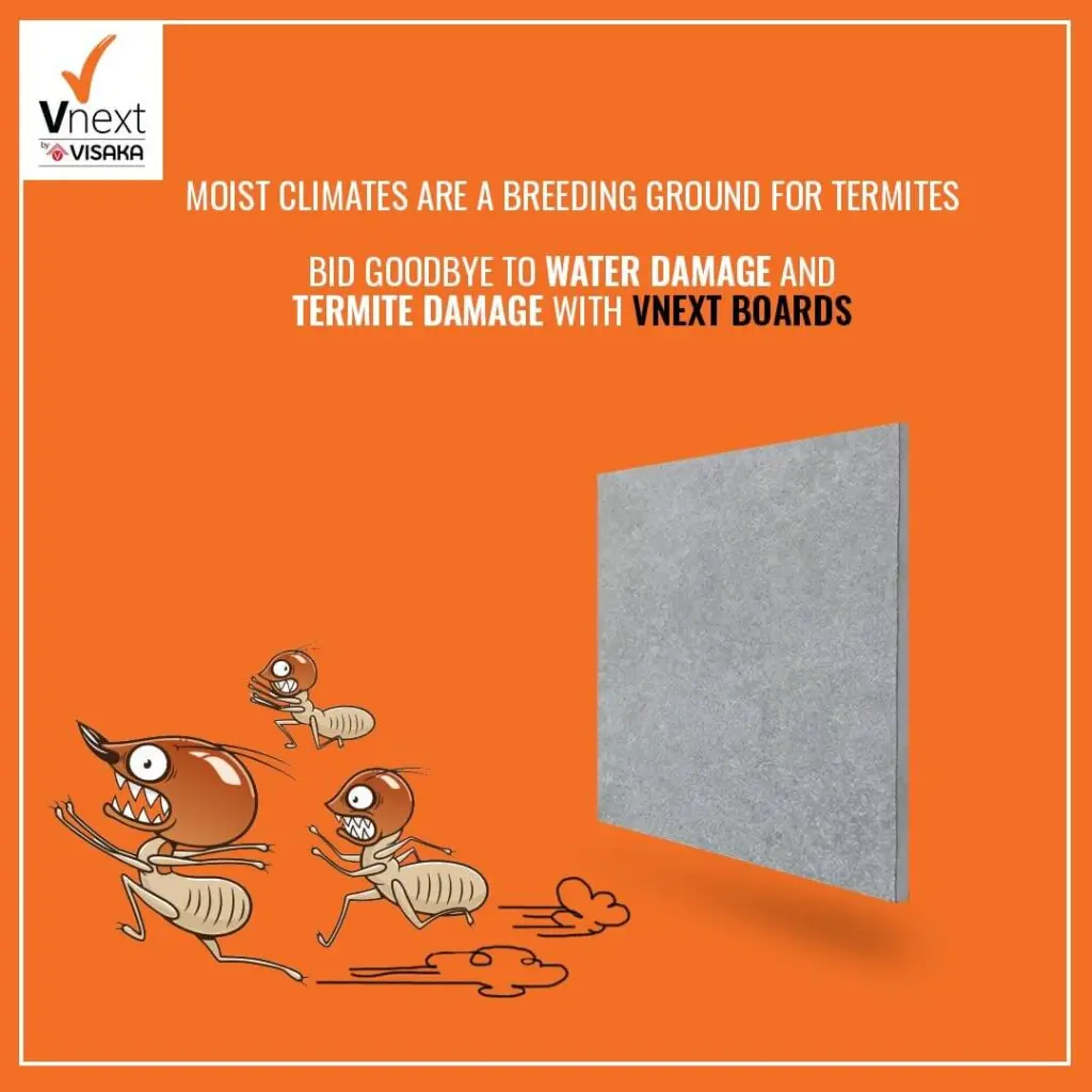 Visaka V board (3).webp