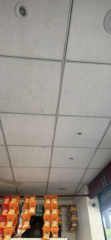 product-jpeg-1000x1000 (2) (1).webp