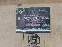 Black Cobra Flush Doors (4)..webp