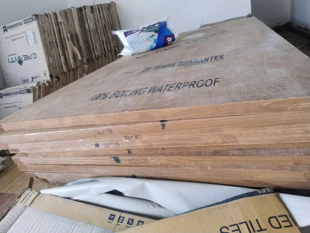 Black Cobra Flush Doors (1)..webp