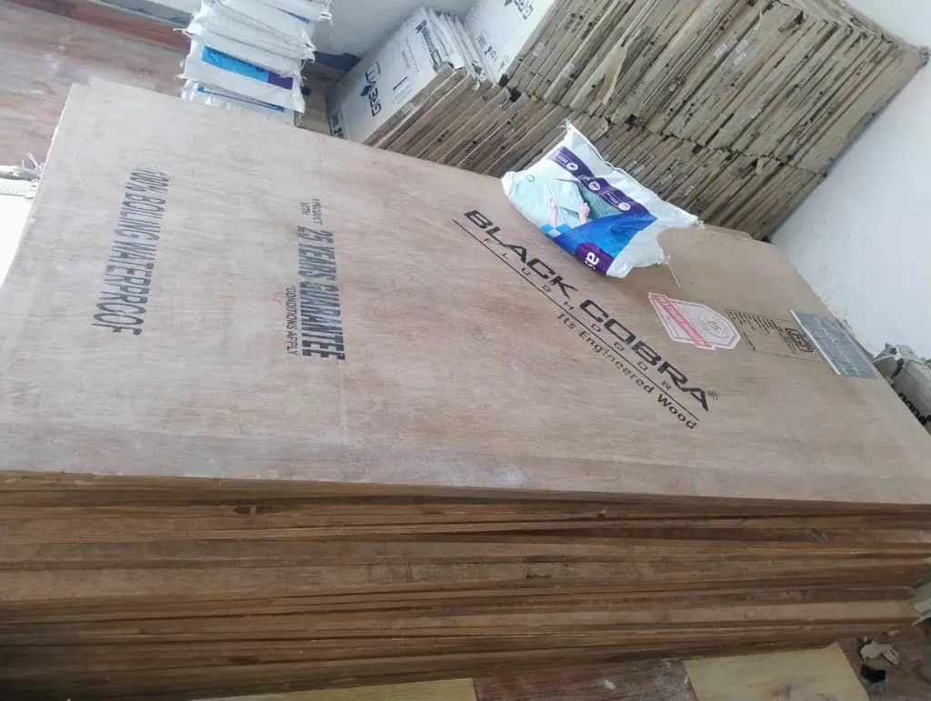 Black Cobra Flush Doors (2)..webp