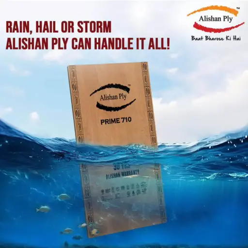 Alishan Prime 710 Plywood- 9mm (30yrs Warranty)